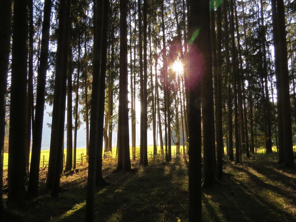 Sportpension Alpenrose Schladming Zewnętrze zdjęcie